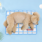 Snoopy Cooling Gel Mat | Double-Sided Pattern (2 colors)