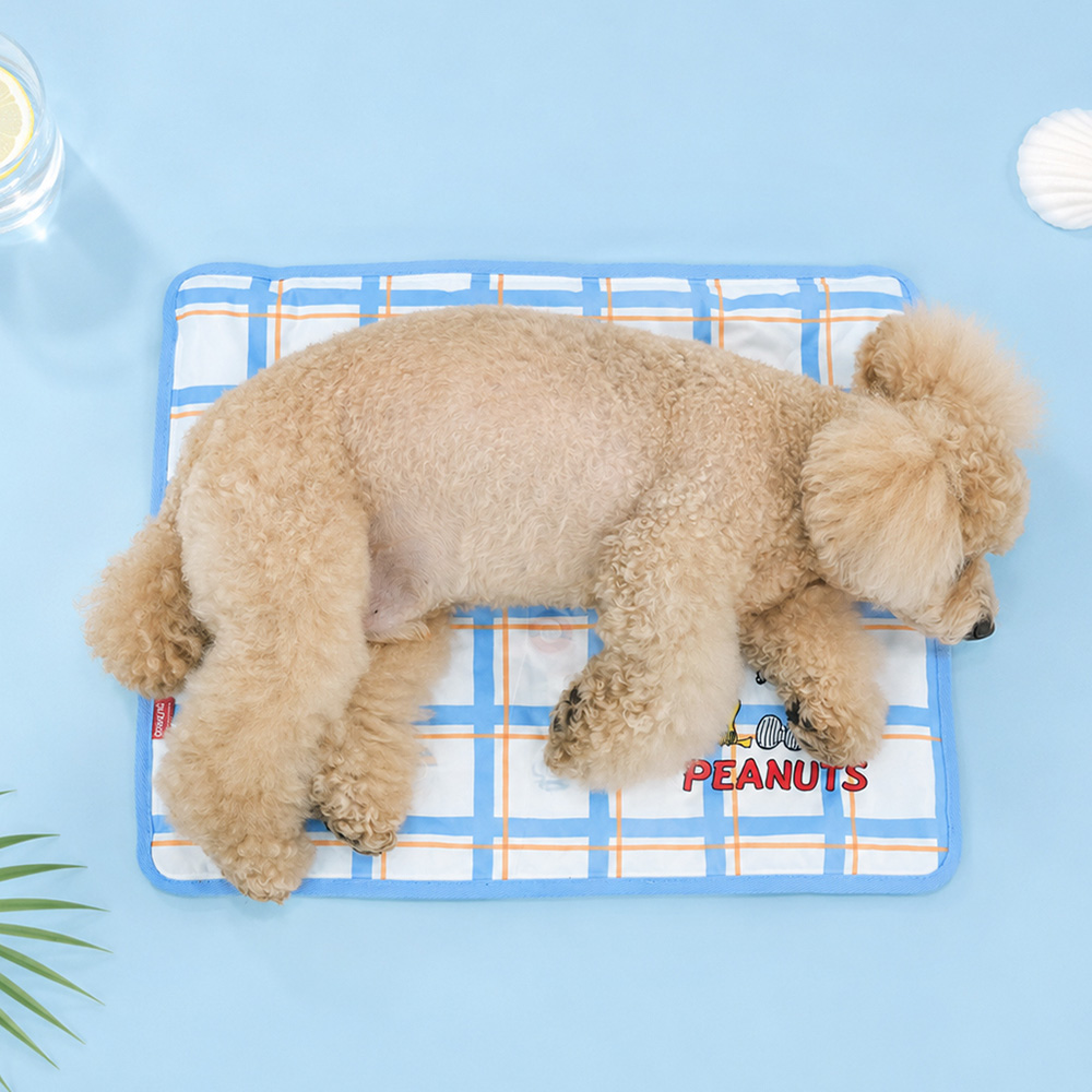 Snoopy Cooling Gel Mat | Double-Sided Pattern (2 colors)
