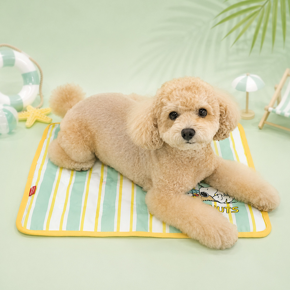 Snoopy Cooling Gel Mat | Double-Sided Pattern (2 colors)