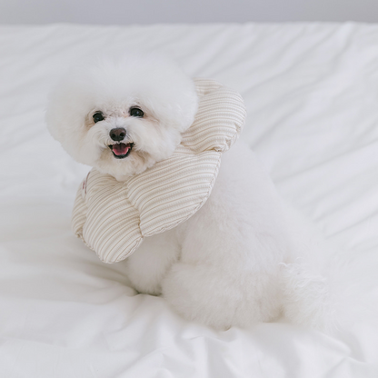Cloud Dog Cone