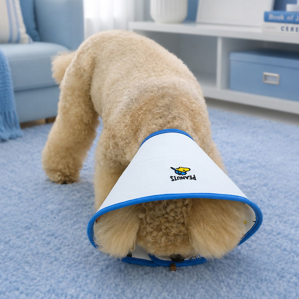 Snoopy Cooling Pet Cone (2 colors)