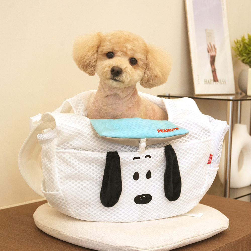 Snoopy Mesh Front Pet Bag