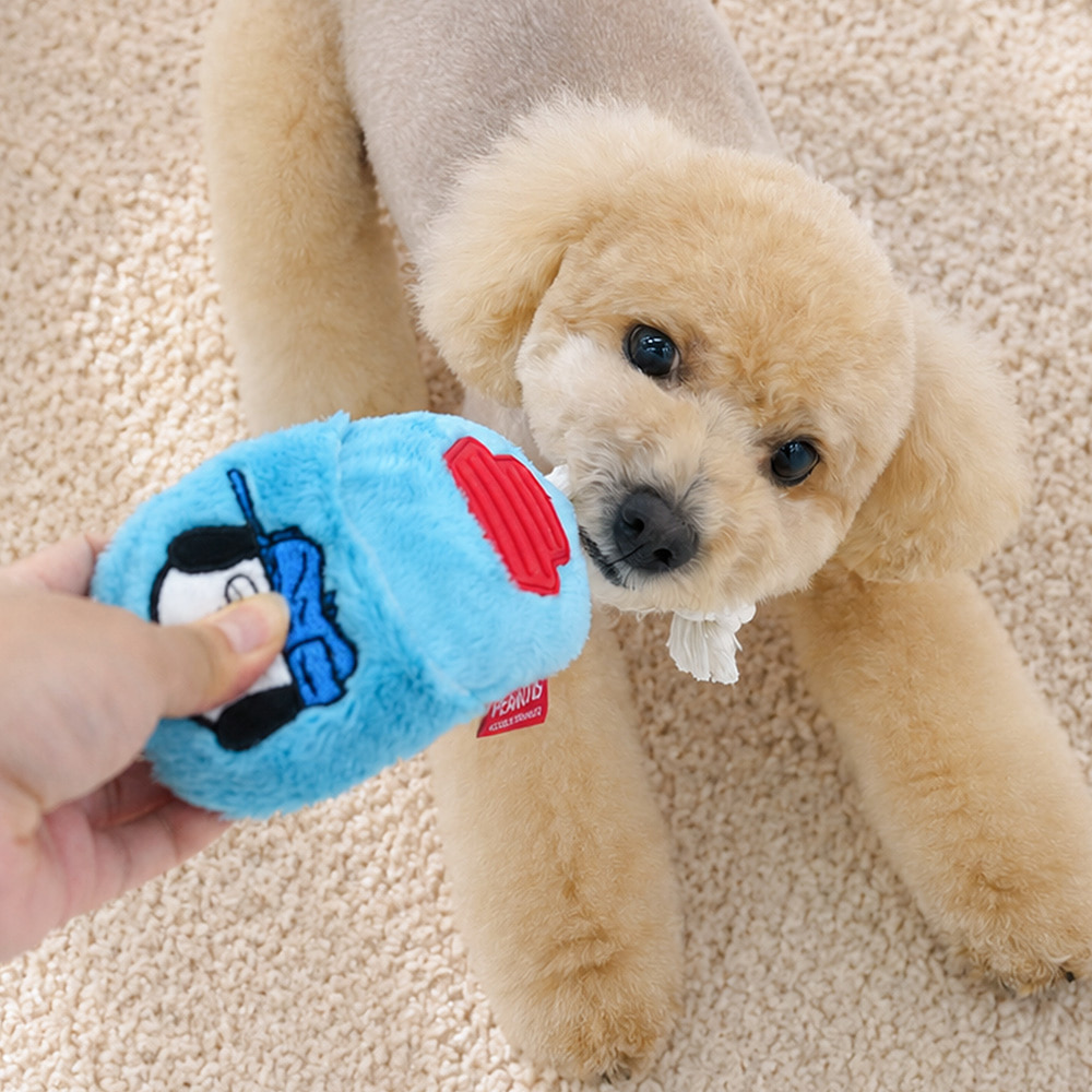 Snoopy Slipper Toy