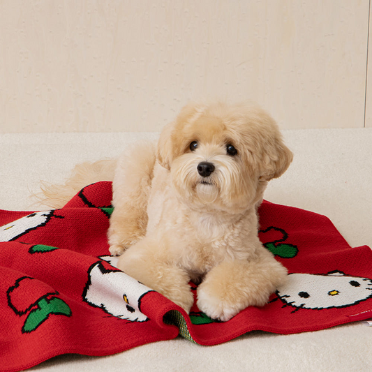 BITE ME | Hello Kitty Knit Blanket