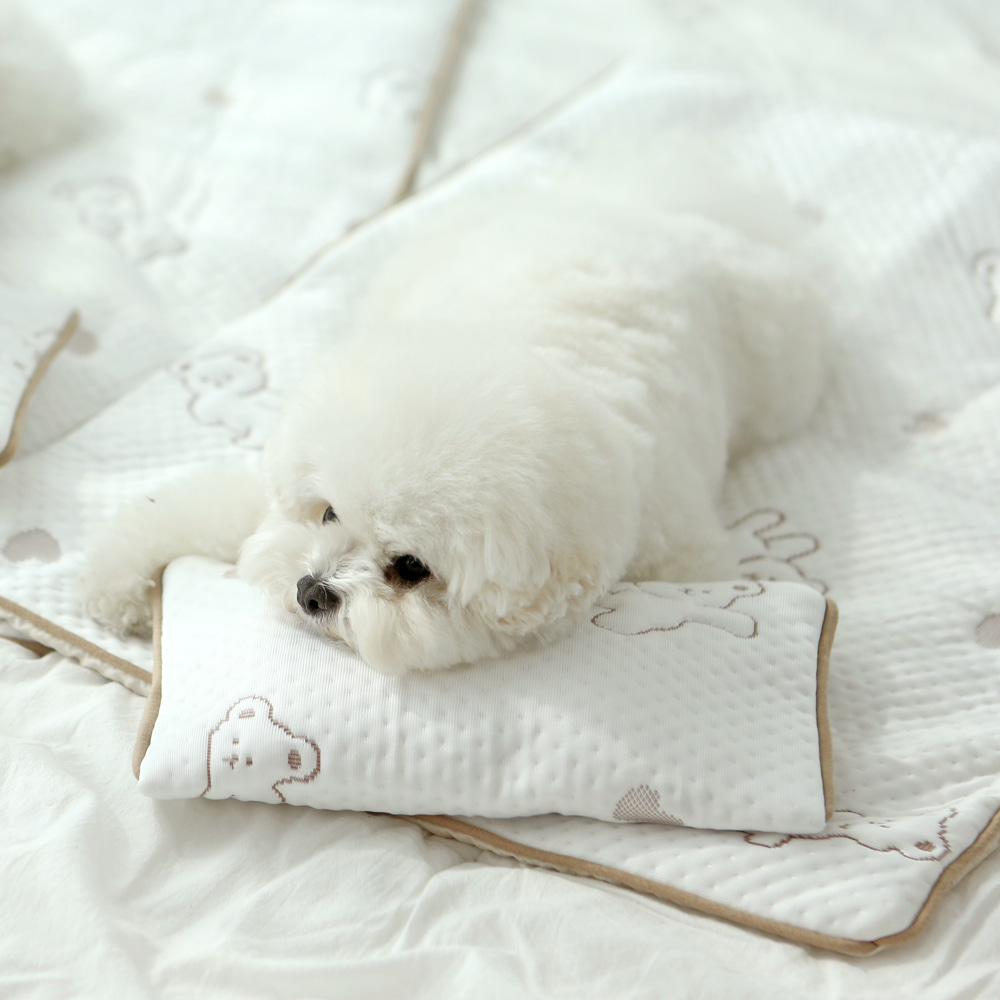Cooling Mat | Cooling Pillow