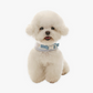 ITSDOG | Olaf Cooling Harness | with Ice Pack Pocket and Ice Pack Included | 2XL Chest Size up to 59.5cm