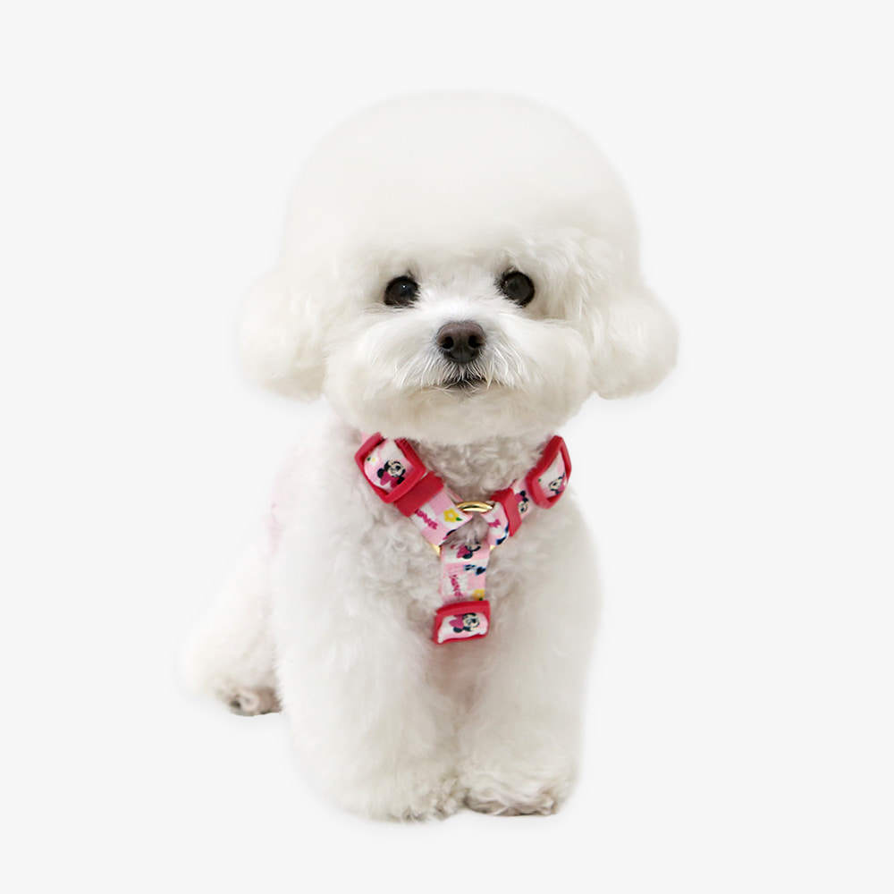 ITSDOG | Disney Harness (Mickey/Minnie/Donald Duck)