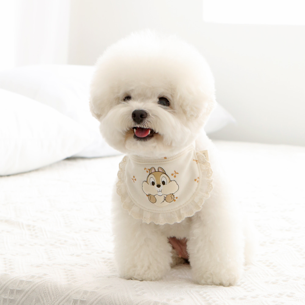 ITSDOG | Chip n Dale Bib | Organic Cotton