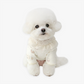 ITSDOG | 熊仔T恤 | Waffle Fabric