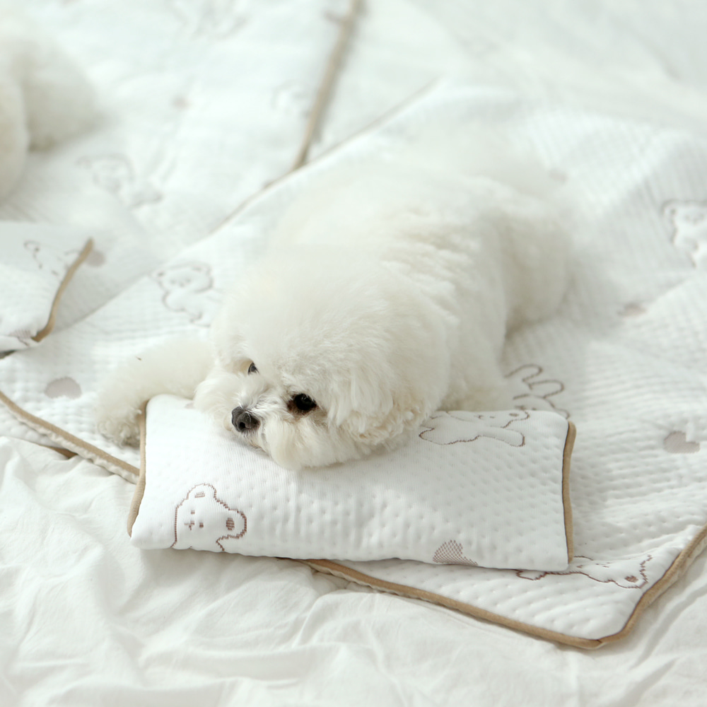 ITSDOG | Premium Cooling Mat | Forpe Fabric