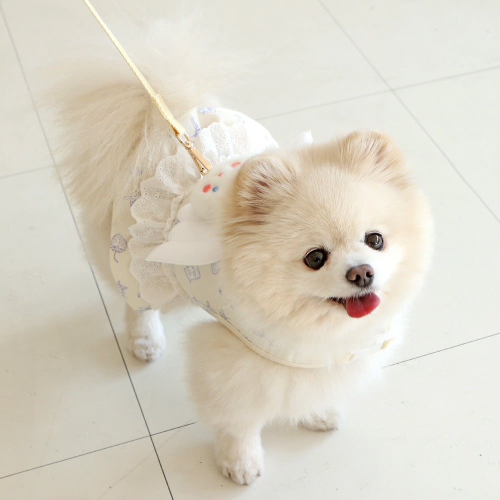 ITSDOG | Petit Mignon Angel Harness