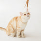 BITE ME | Cat Teaser Wand Refill Set (Feather | 5 pcs)