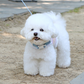 ITSDOG | Olaf Cooling Harness | with Ice Pack Pocket and Ice Pack Included | 2XL Chest Size up to 59.5cm