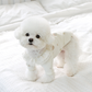ITSDOG | 熊仔T恤 | Waffle Fabric