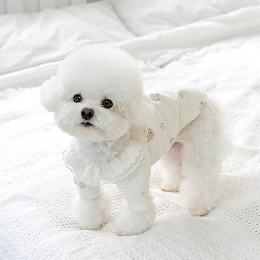 ITSDOG | Bear Tee | Waffle Fabric