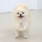 ITSDOG | Chip n Dale Bib | Organic Cotton