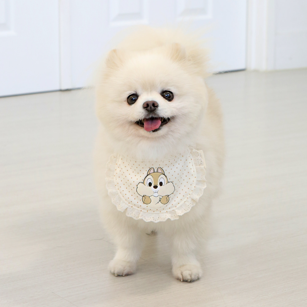 ITSDOG | Chip n Dale Bib | Organic Cotton