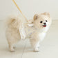 ITSDOG | Petit Mignon Angel Harness