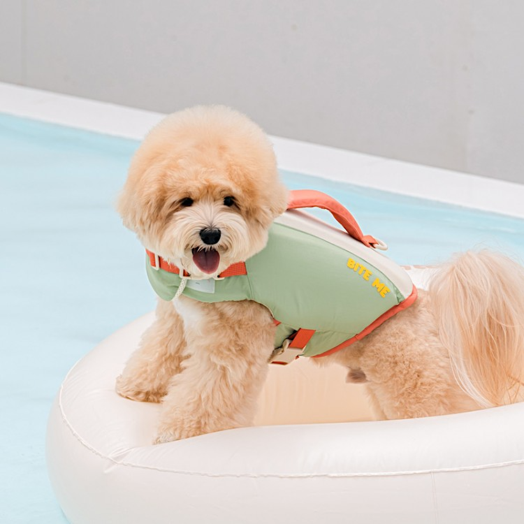 BITE ME | Aqua Bear Life Jacket | Removable Chin Float