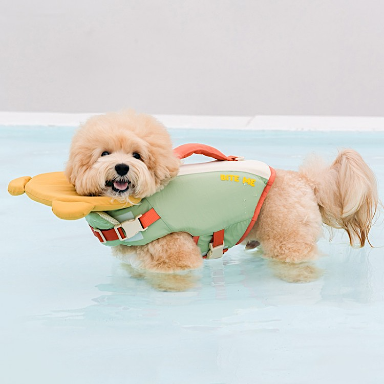 BITE ME | Aqua Bear Life Jacket | Removable Chin Float