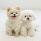 ITSDOG | Organic Cotton Tory's Cherry Tee