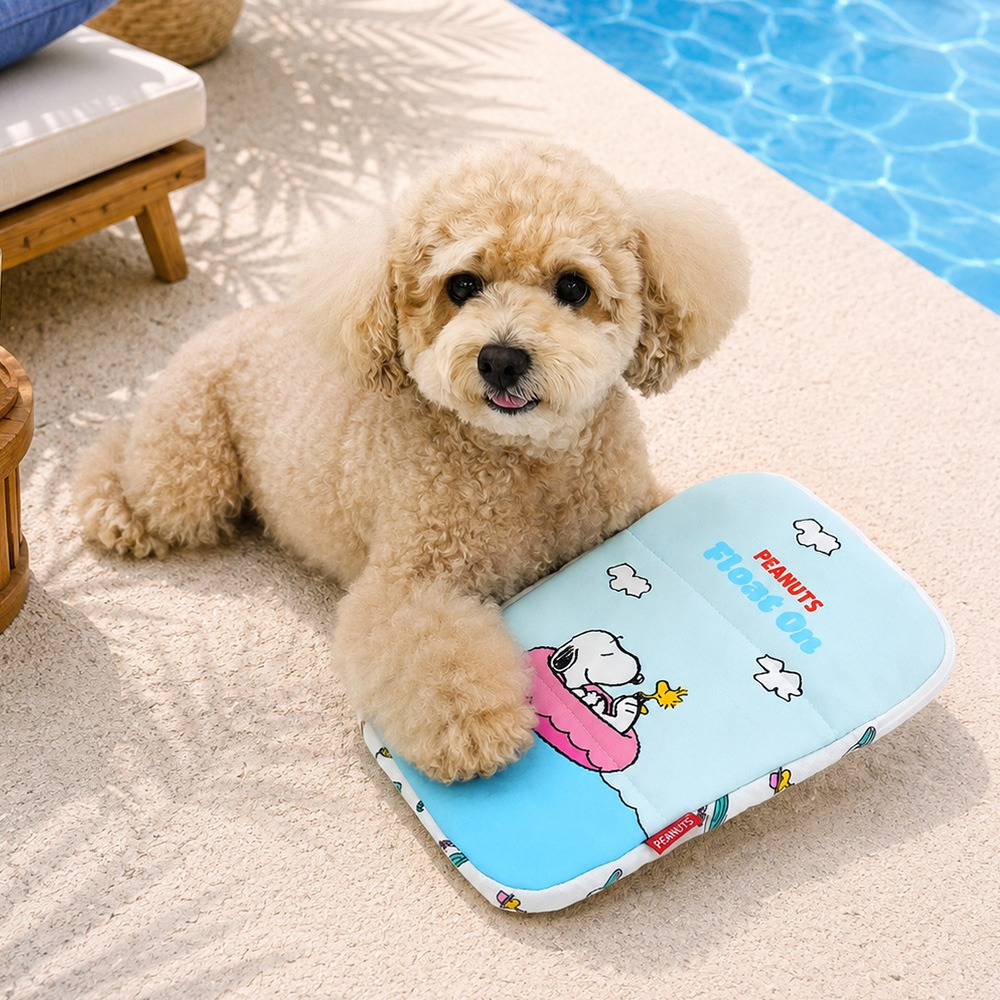 Cooling Mat | Cooling Pillow