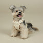 RITOGATO | Walkiepet Custom Harness (5 colors)