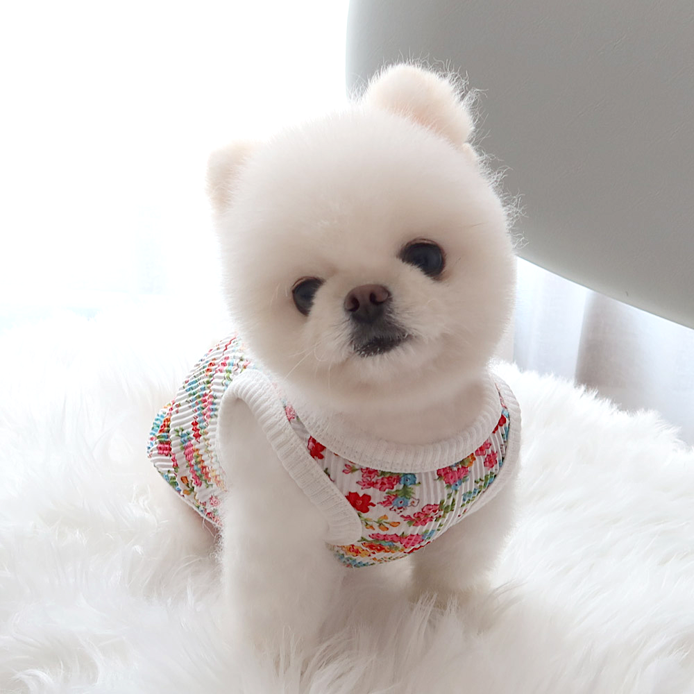 Korean Grandma Vest | Button-up