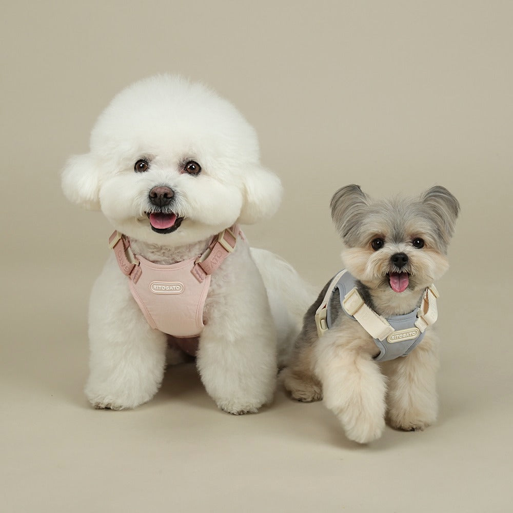 RITOGATO | Walkiepet Custom Harness (5 colors)