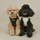 RITOGATO | Walkiepet Custom Harness (5 colors)