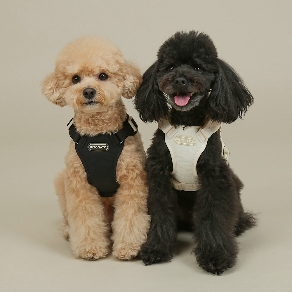 RITOGATO | Walkiepet Custom Harness (5 colors)