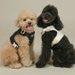 RITOGATO | Walkiepet Custom Harness (5 colors)