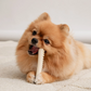 BITE ME | Buddy Bone Toy | Food-Grade Material | Beef Flavour