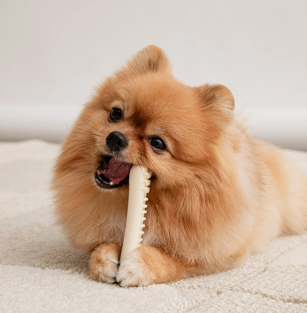 BITE ME | Buddy Bone Toy | Food-Grade Material | Beef Flavour