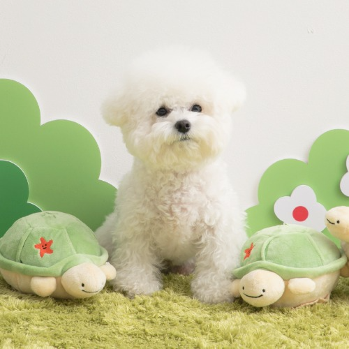 BITE ME | Jumping Turtle Toy | Auto Self-Moving | Rechargable