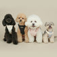 RITOGATO | Walkiepet Custom Harness (5 colors)