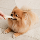 BITE ME | Buddy Bone Toy | Food-Grade Material | Beef Flavour