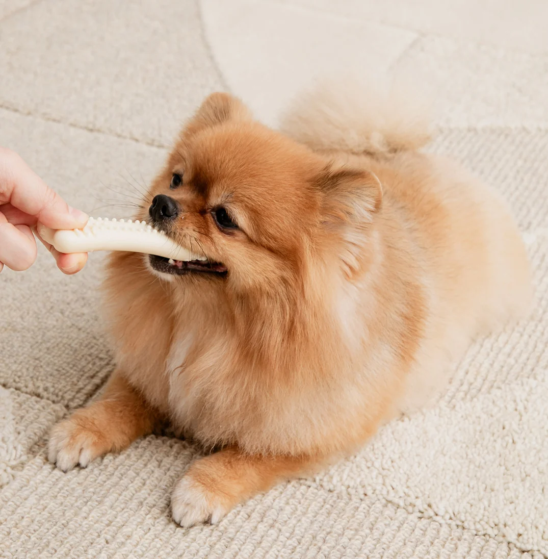 BITE ME | Buddy Bone Toy | Food-Grade Material | Beef Flavour
