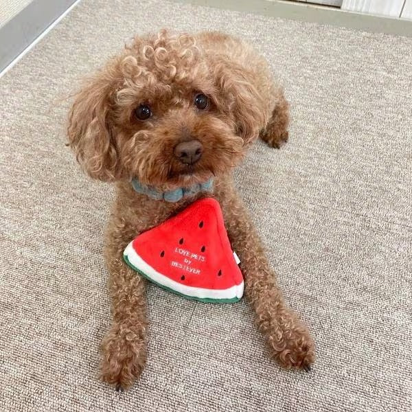 Watermelon Toy 西瓜玩具