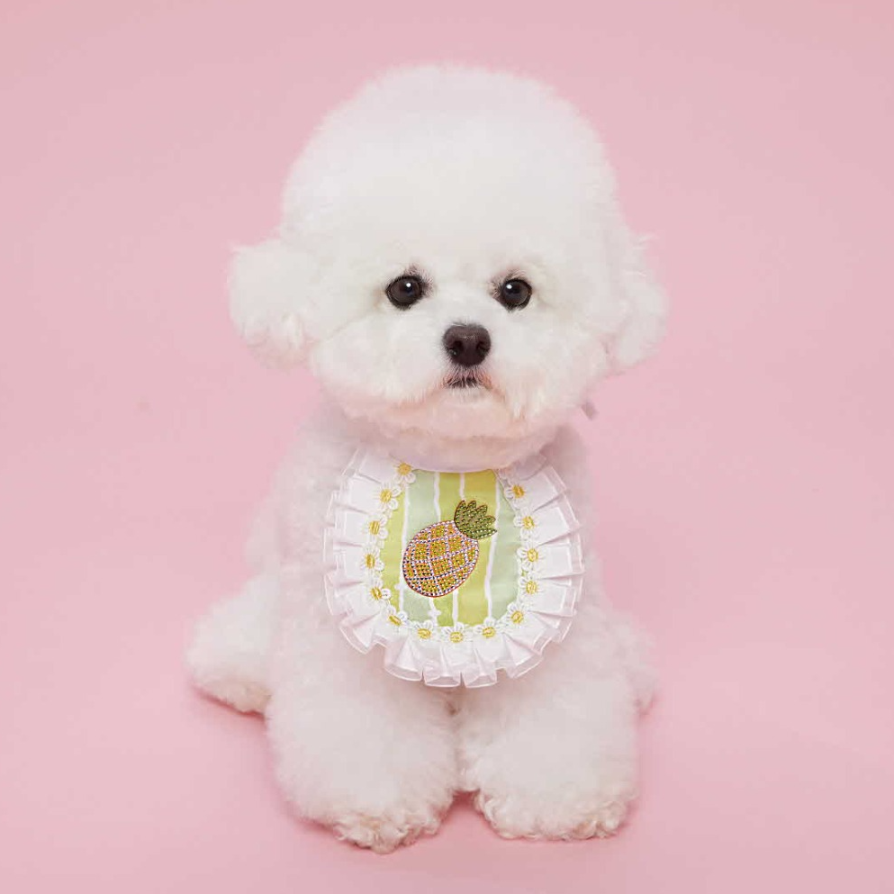 comocomo | Fruits Bib