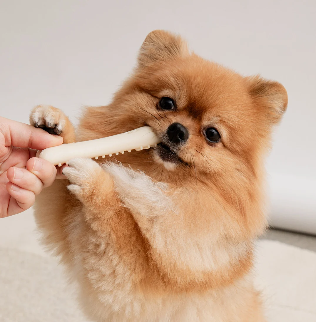 BITE ME | Buddy Bone Toy | Food-Grade Material | Beef Flavour