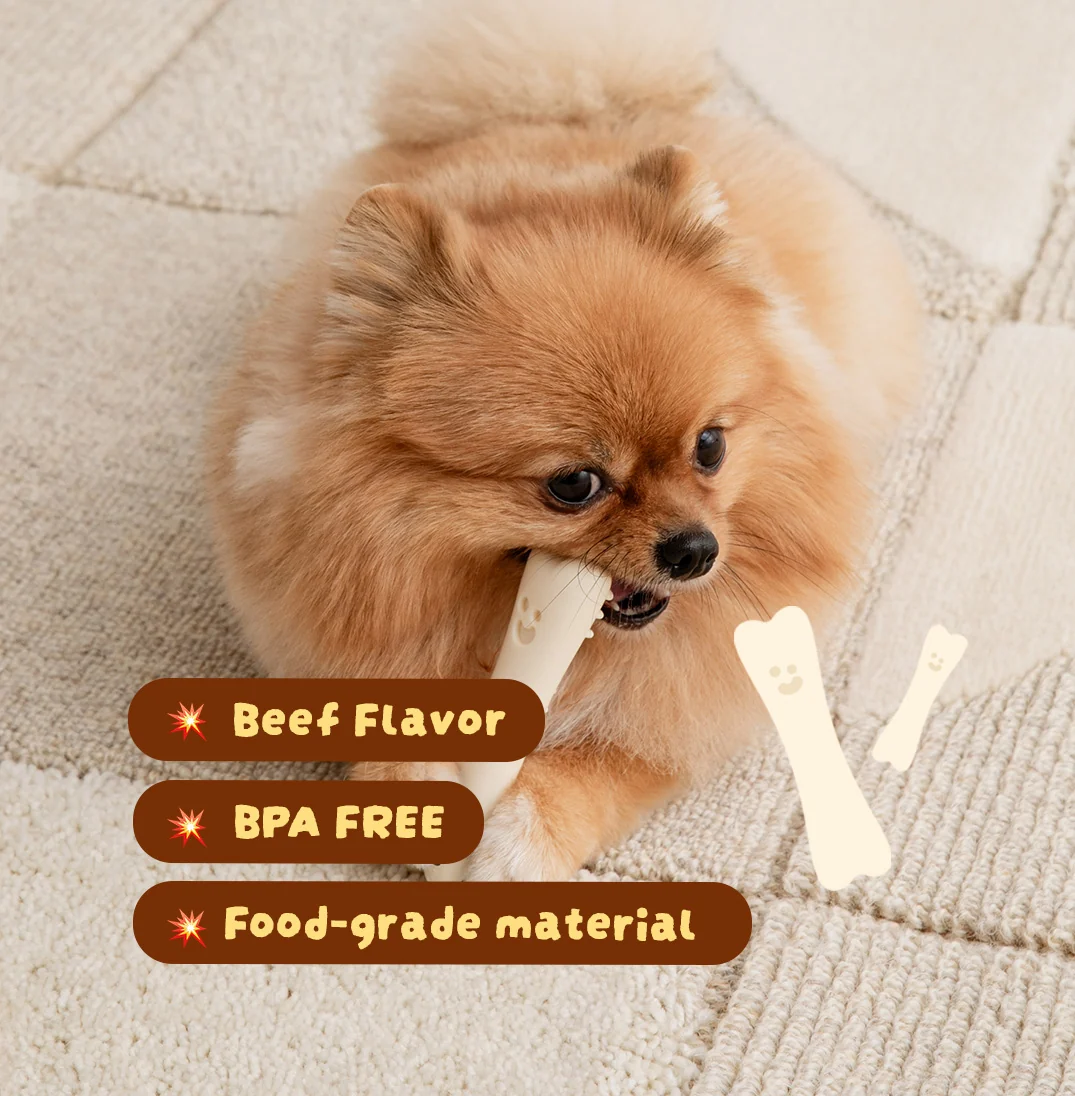 BITE ME | Buddy Bone Toy | Food-Grade Material | Beef Flavour