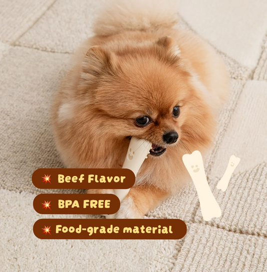 BITE ME | Buddy Bone Toy | Food-Grade Material | Beef Flavour