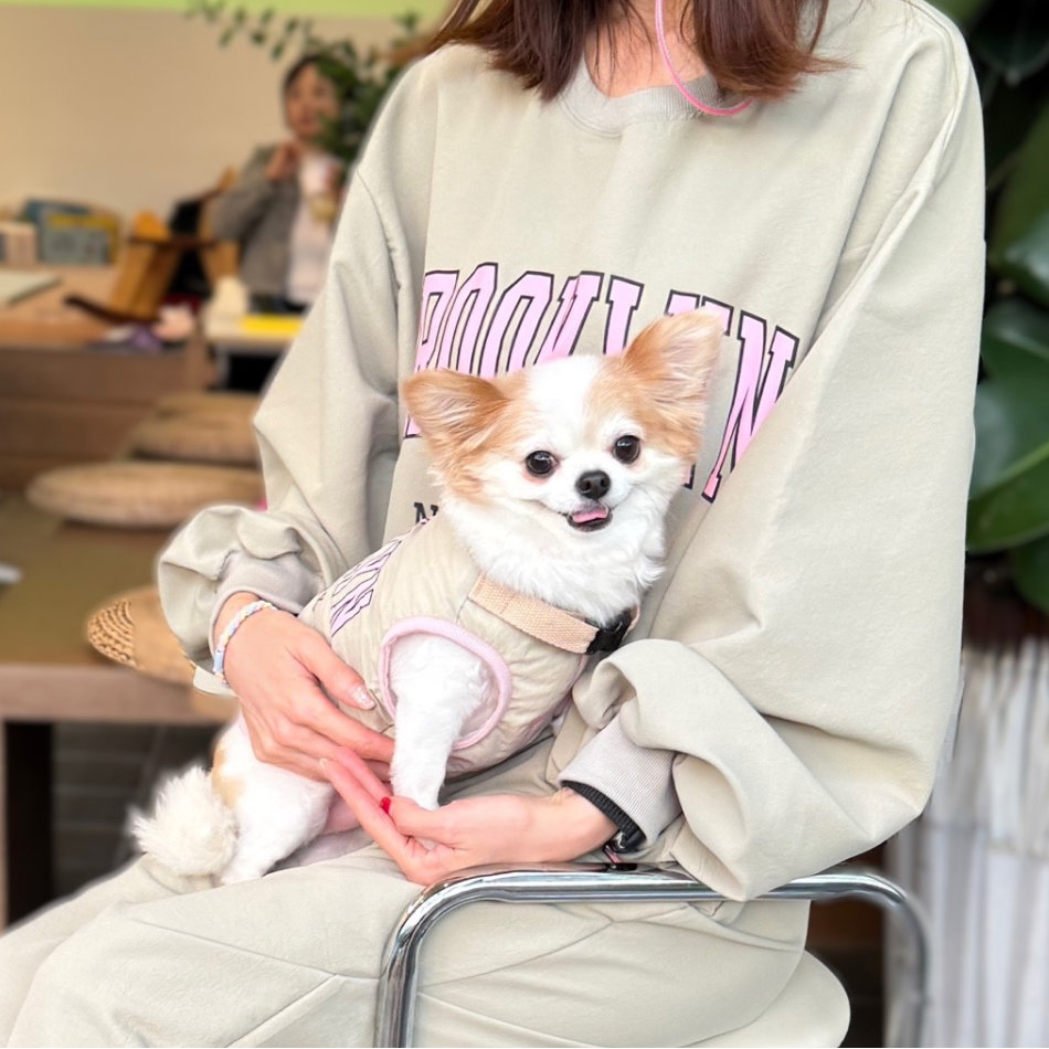 <Couple Style> Brooklyn Training Set | For Pawrents (3 colors)