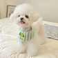 Green Stripe Cape | Custom Name