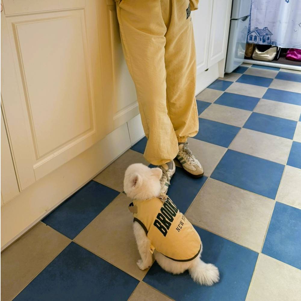 <Couple Style> Brooklyn Training Set | For Pawrents (3 colors)