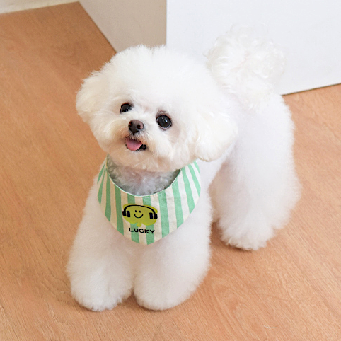 Green Stripe Cape | Custom Name