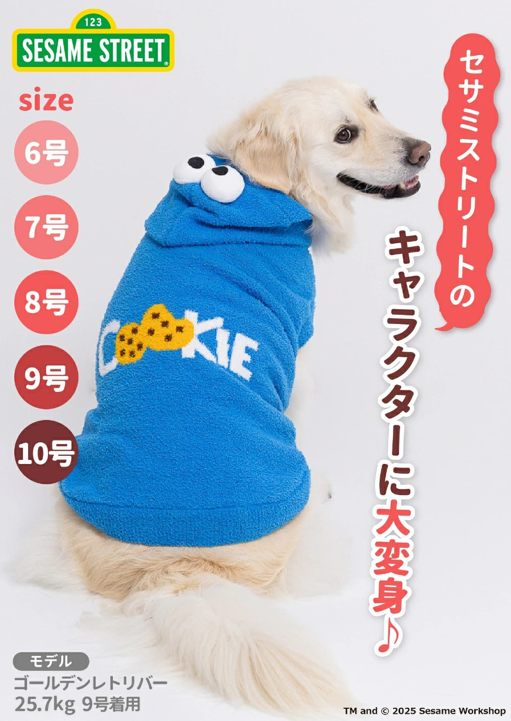 Sesame Street Knit Hoodie | BIG size available!