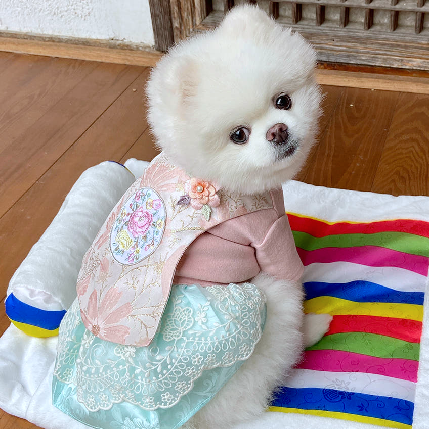 Princess Hanbok | Brooch included!