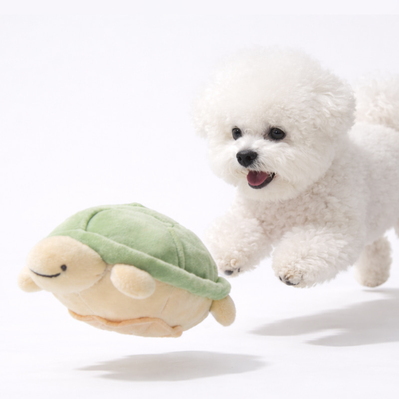 BITE ME | Jumping Turtle Toy | Auto Self-Moving | Rechargable